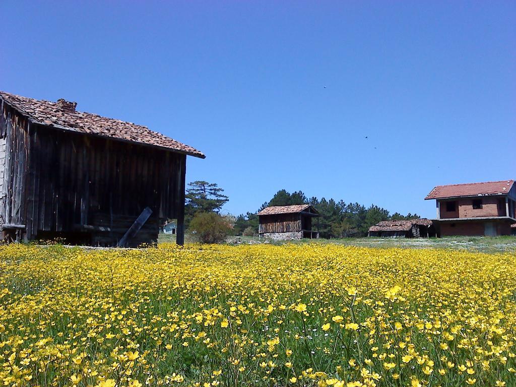Villa Neva Hotel Kındıra Bagian luar foto
